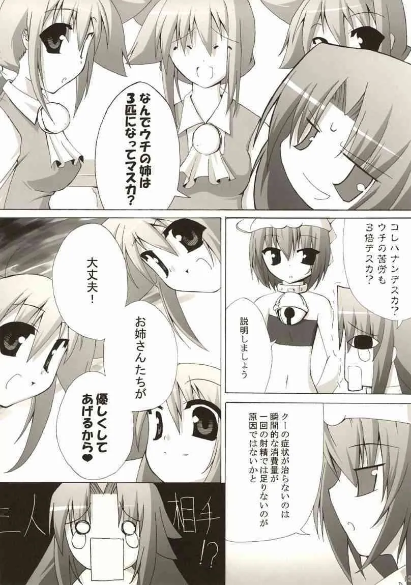 Holy Fxxk Sisters_9