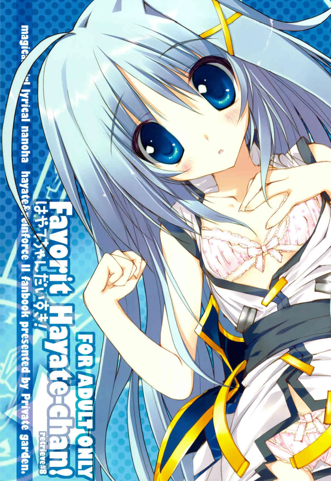 (C75) [Private Garden (鶴崎貴大)] Favorit Hayate-chan! はやてちゃんだいすきっ！ (魔法少女リリカルなのは)