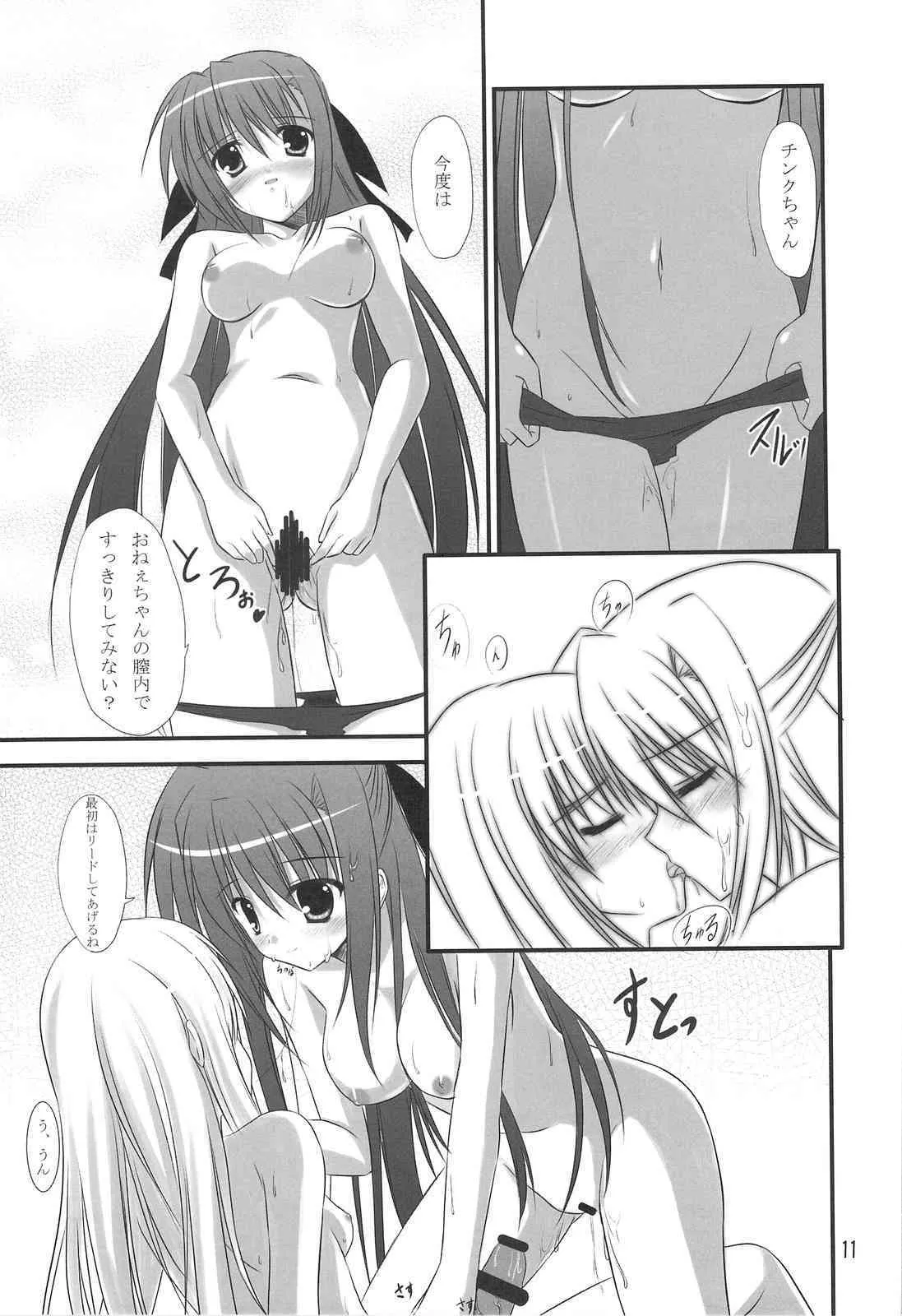 (サンクリ42) [うぱ小屋 (えんどり)] EXPANSION (魔法少女リリカルなのは)_10